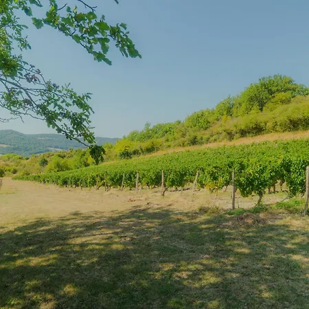 La Souche Fleurie, Lucien 펜션 Mirabel-et-Blacons