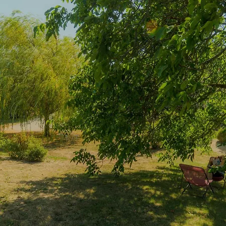 La Souche Fleurie, Lucien Nyaraló